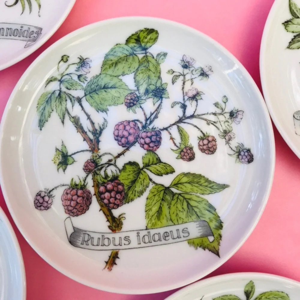 Vintage Kaiser W Germany saucers
